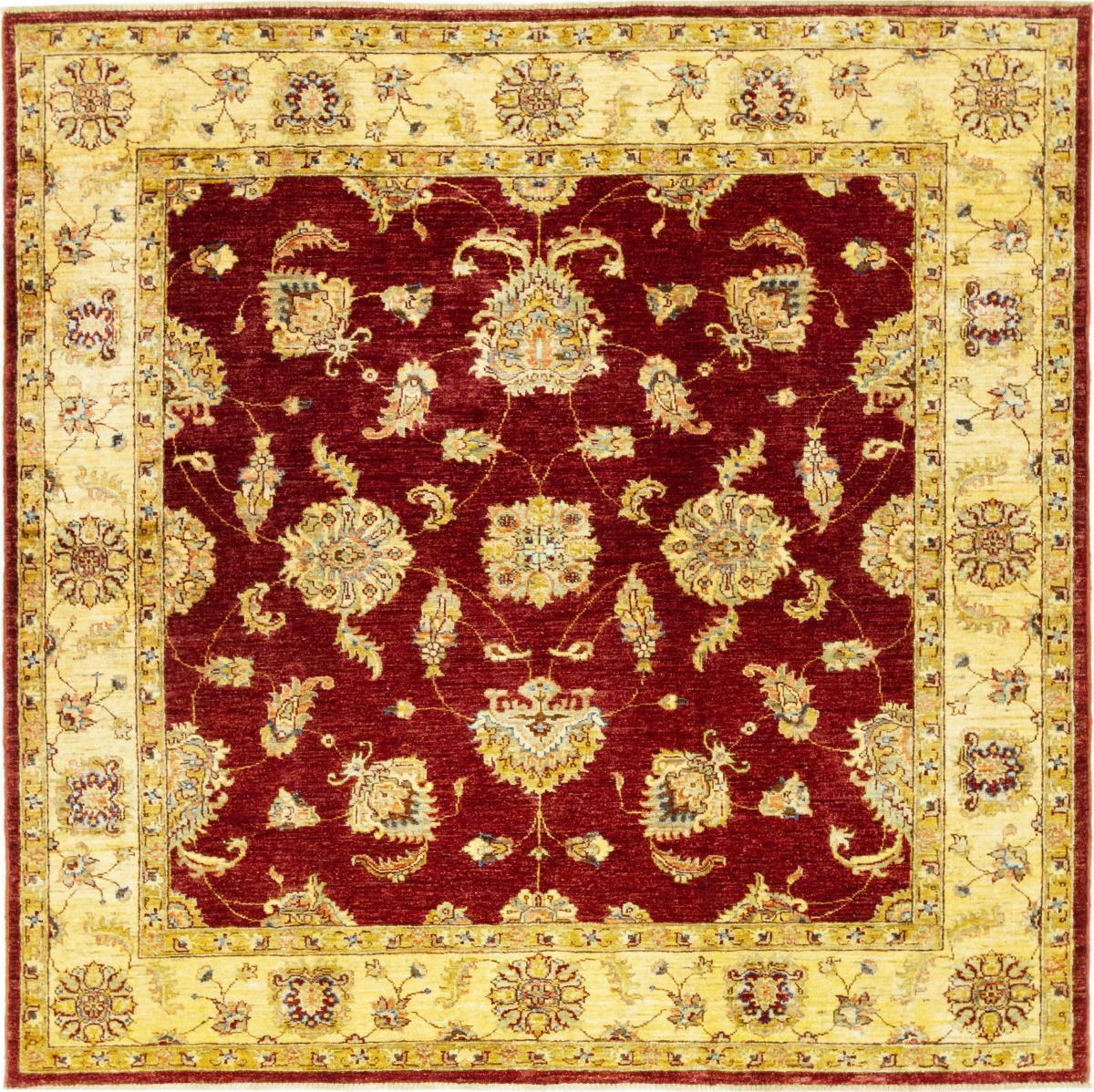 Afghan rug Ziegler Farahan 6'2"x6'1" 6'2"x6'1", Persian Rug Knotted by hand