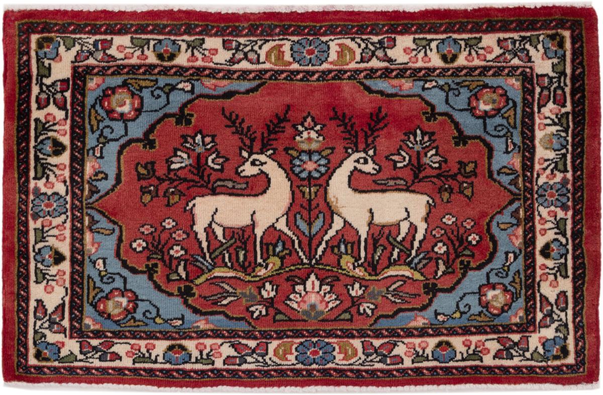 Persian Rug Hamadan 66x101 66x101, Persian Rug Knotted by hand
