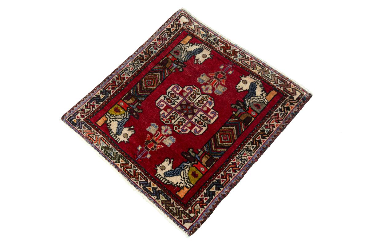Shiraz - 1