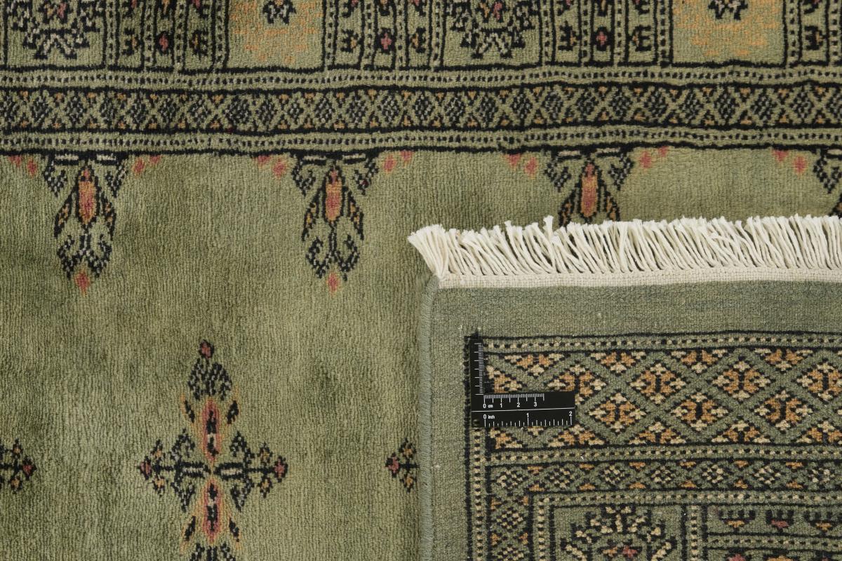 Pakistan Buchara 3ply - 1