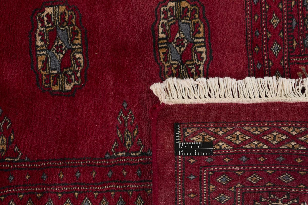 Pakistan Buchara 3ply - 1