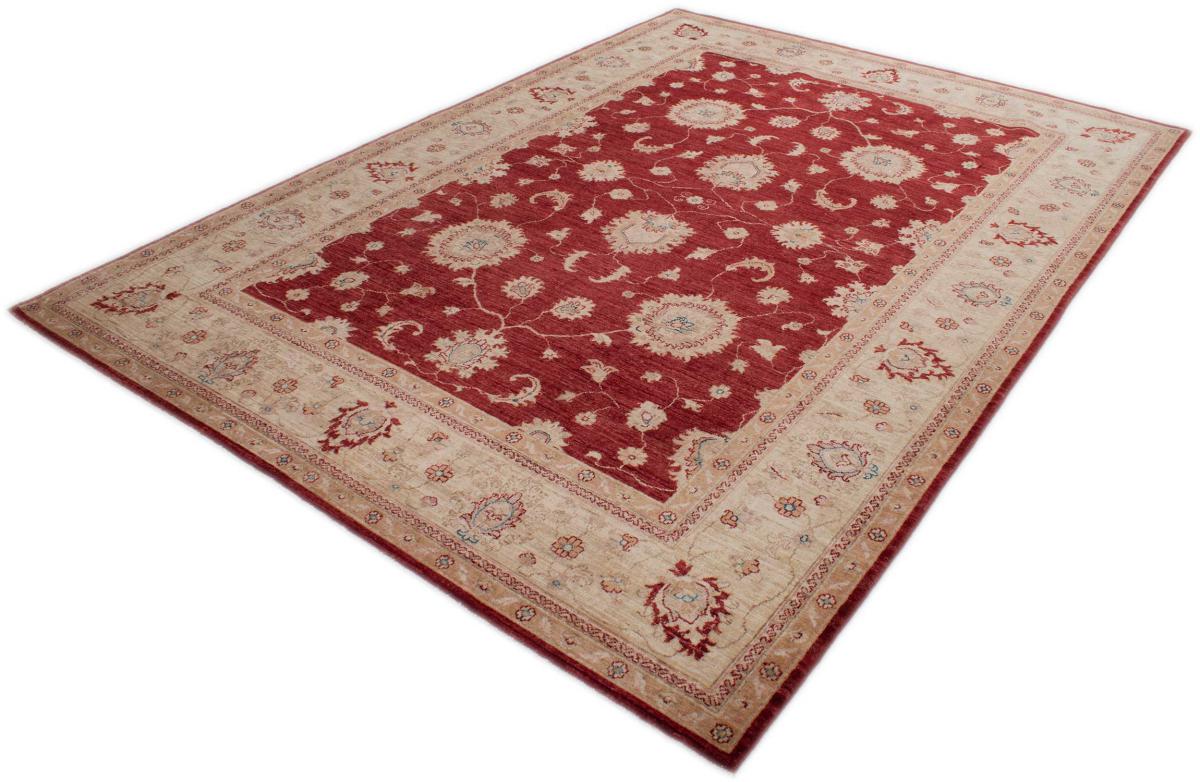 Ziegler Farahan - 1
