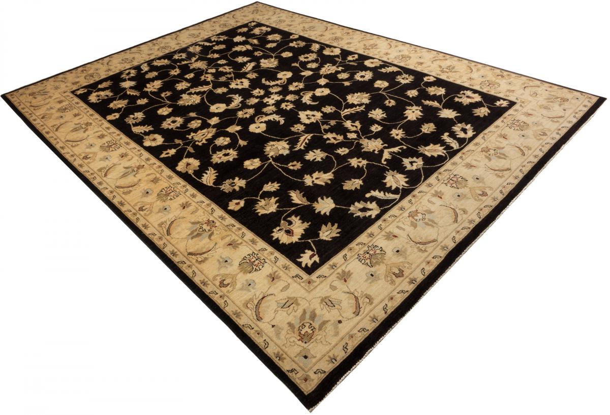 Ziegler Farahan - 1