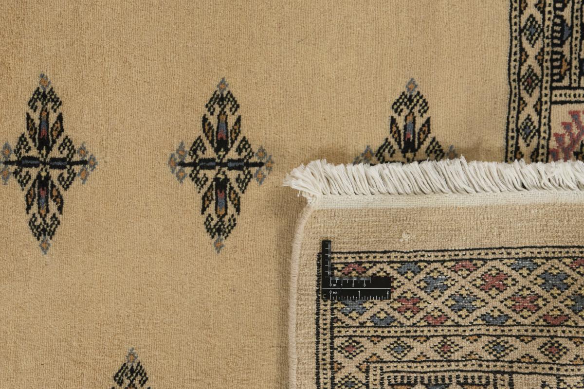 Pakistan Buchara 2ply - 1
