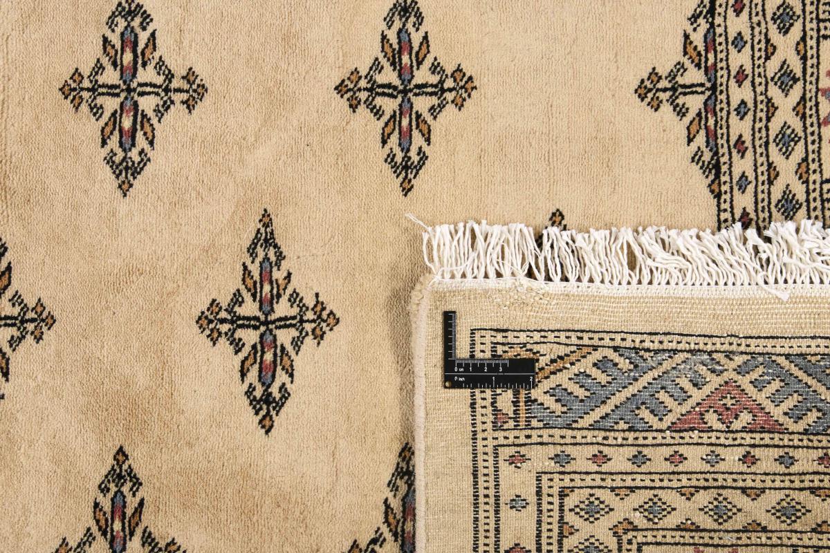 Pakistan Buchara 3ply - 1