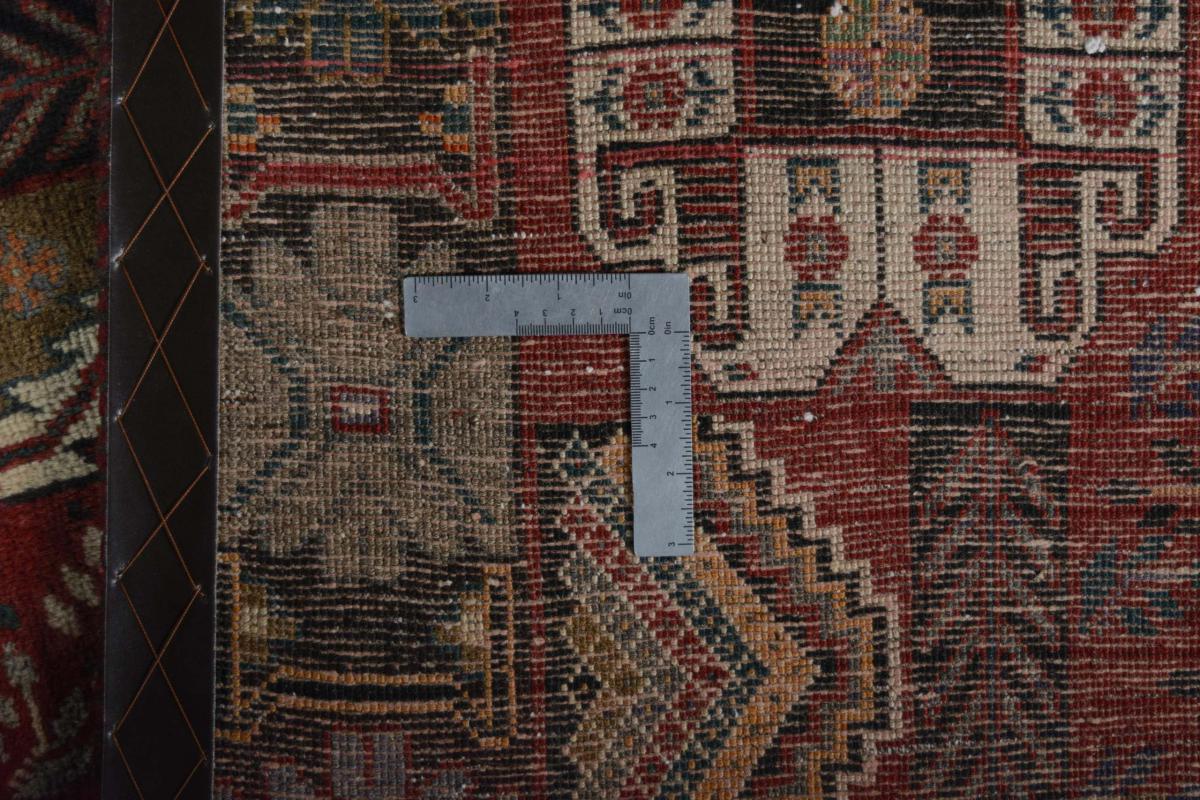 Shiraz - 1