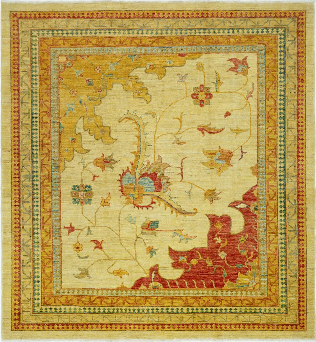 Pakistanilainen matto Ziegler Farahan 238x220 238x220, Persialainen matto Solmittu käsin