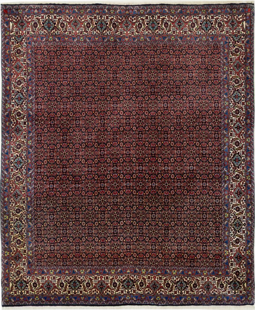 Perzisch tapijt Bidjar 244x204 244x204, Perzisch tapijt Handgeknoopte