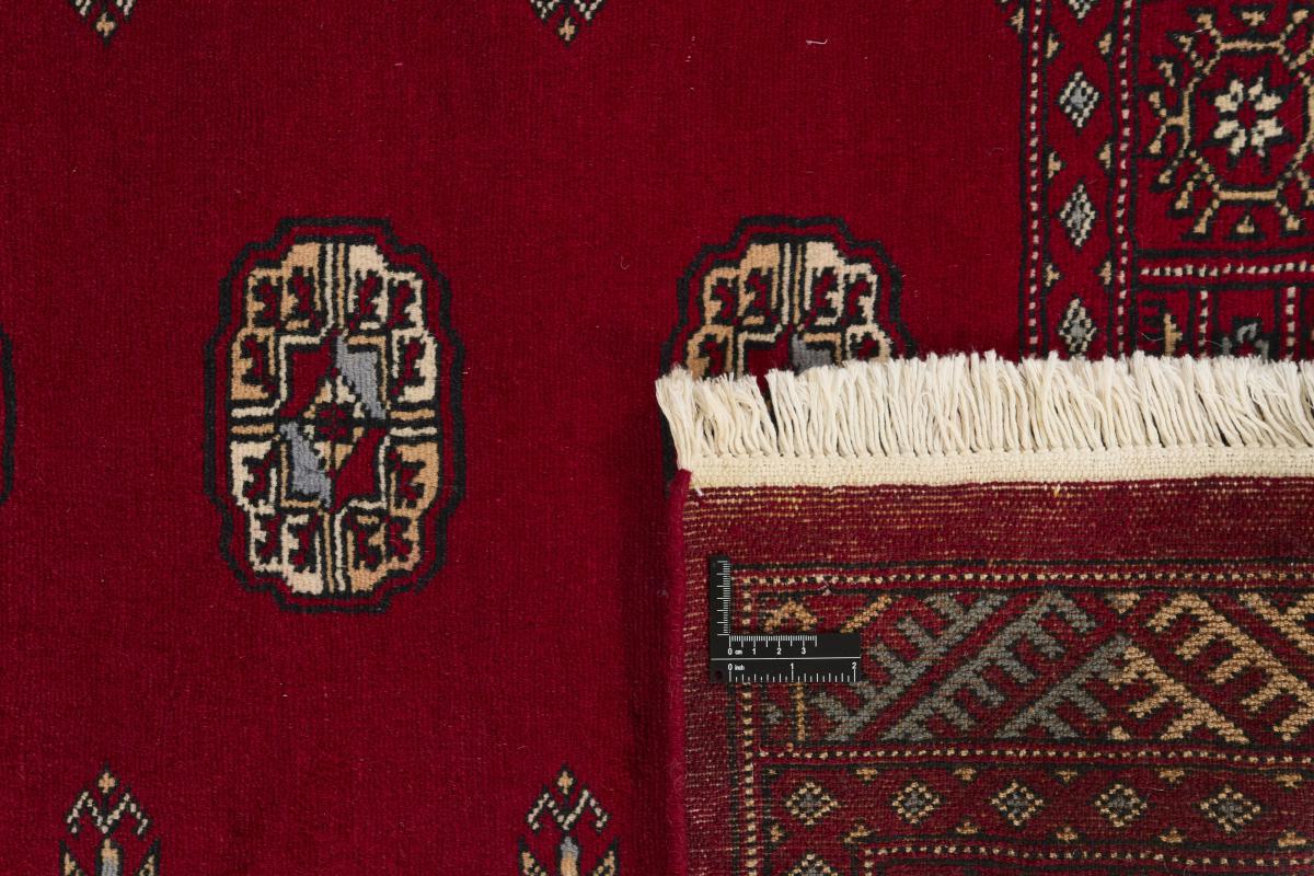 Pakistan Buchara 2ply - 1