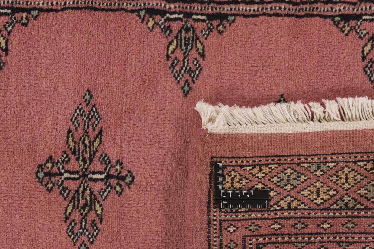 Pakistan Buchara 2ply - 1