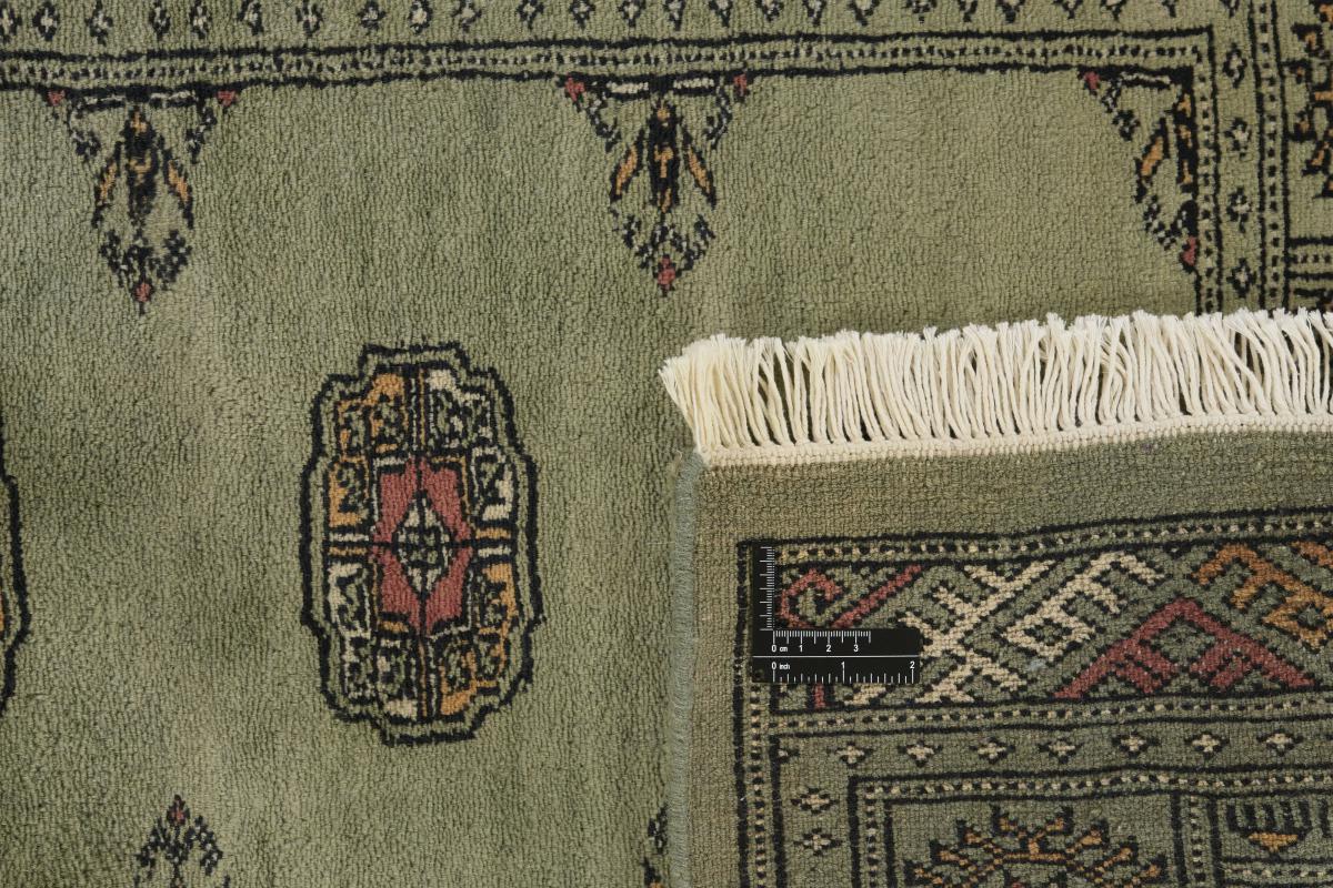 Pakistan Buchara 3ply - 1