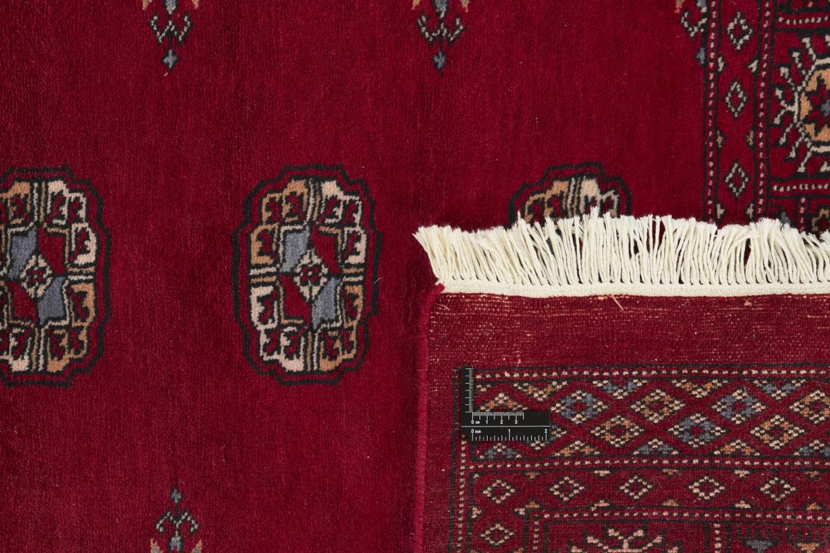 Pakistan Buchara 3ply - 1