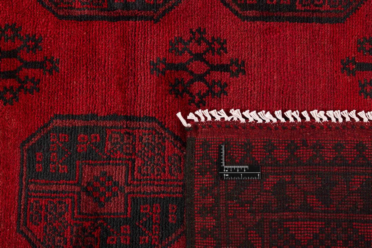 Afegão Akhche - 1