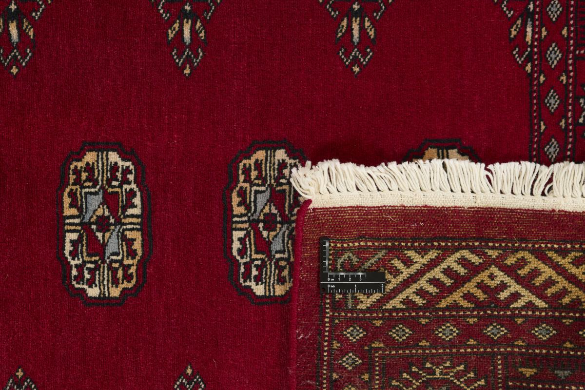 Pakistan Buchara 2ply - 1