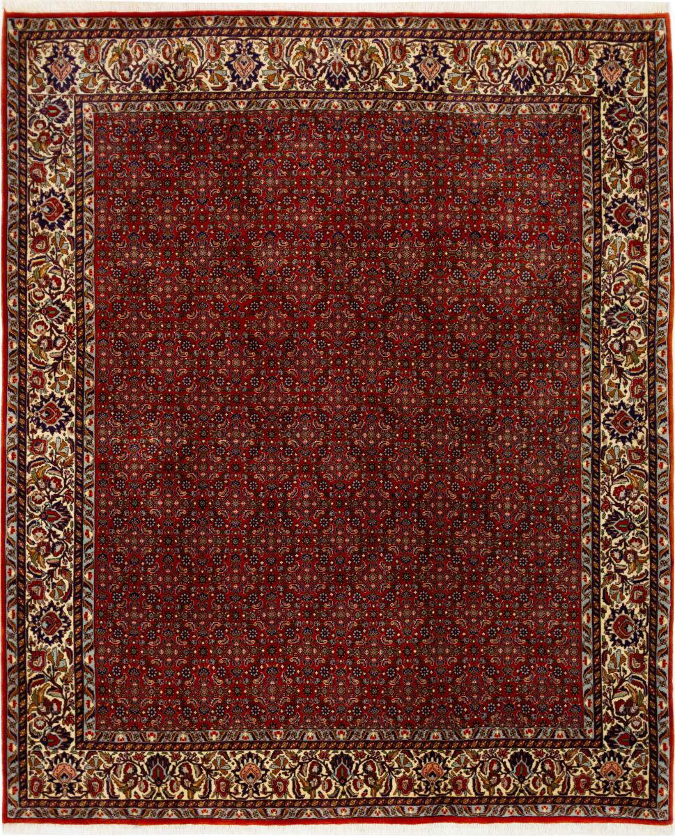 Persian Rug Bidjar 8'1"x6'9" 8'1"x6'9", Persian Rug Knotted by hand