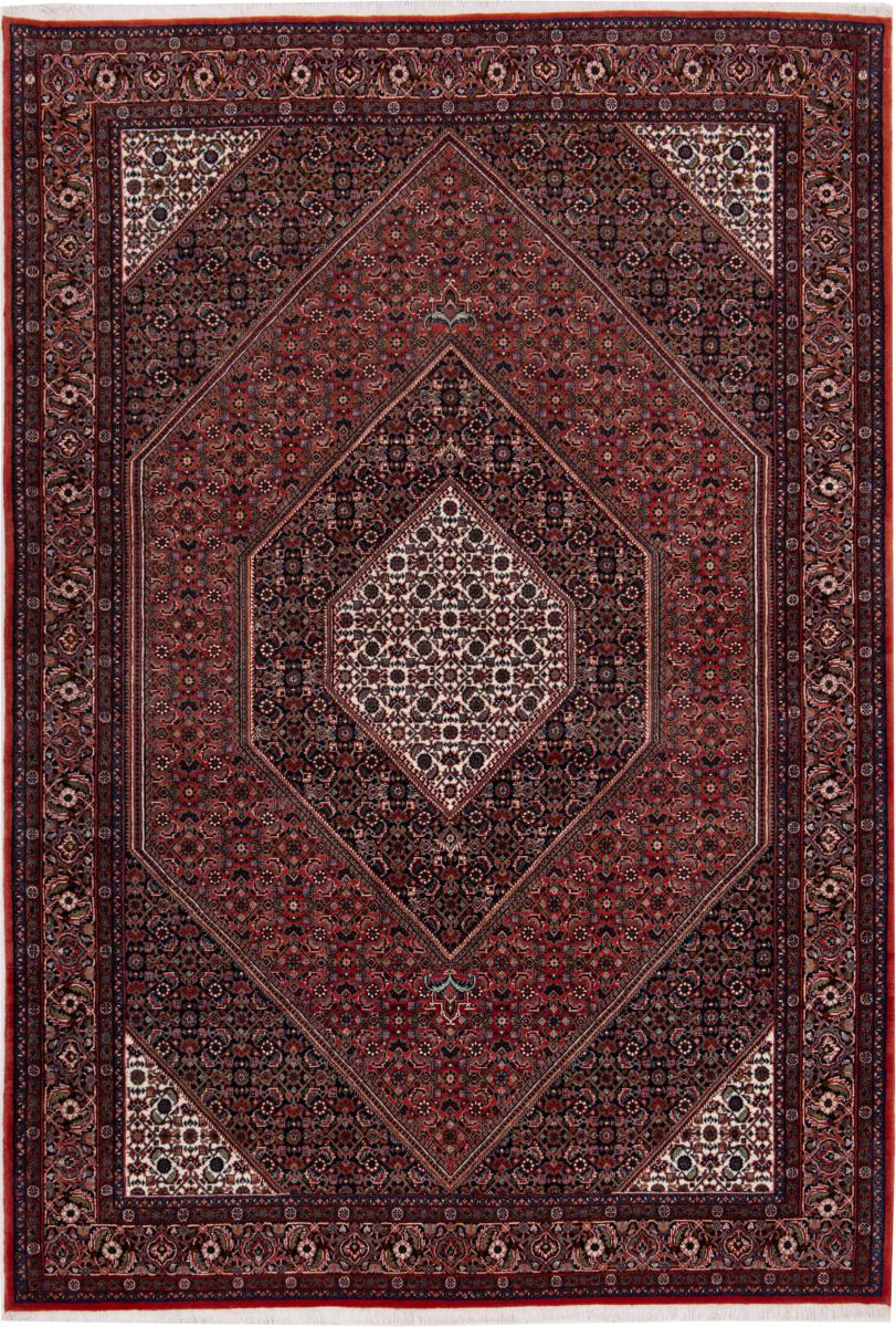 Persian Rug Bidjar 248x170 248x170, Persian Rug Knotted by hand