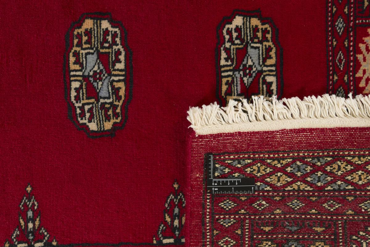 Pakistan Buchara 2ply - 1