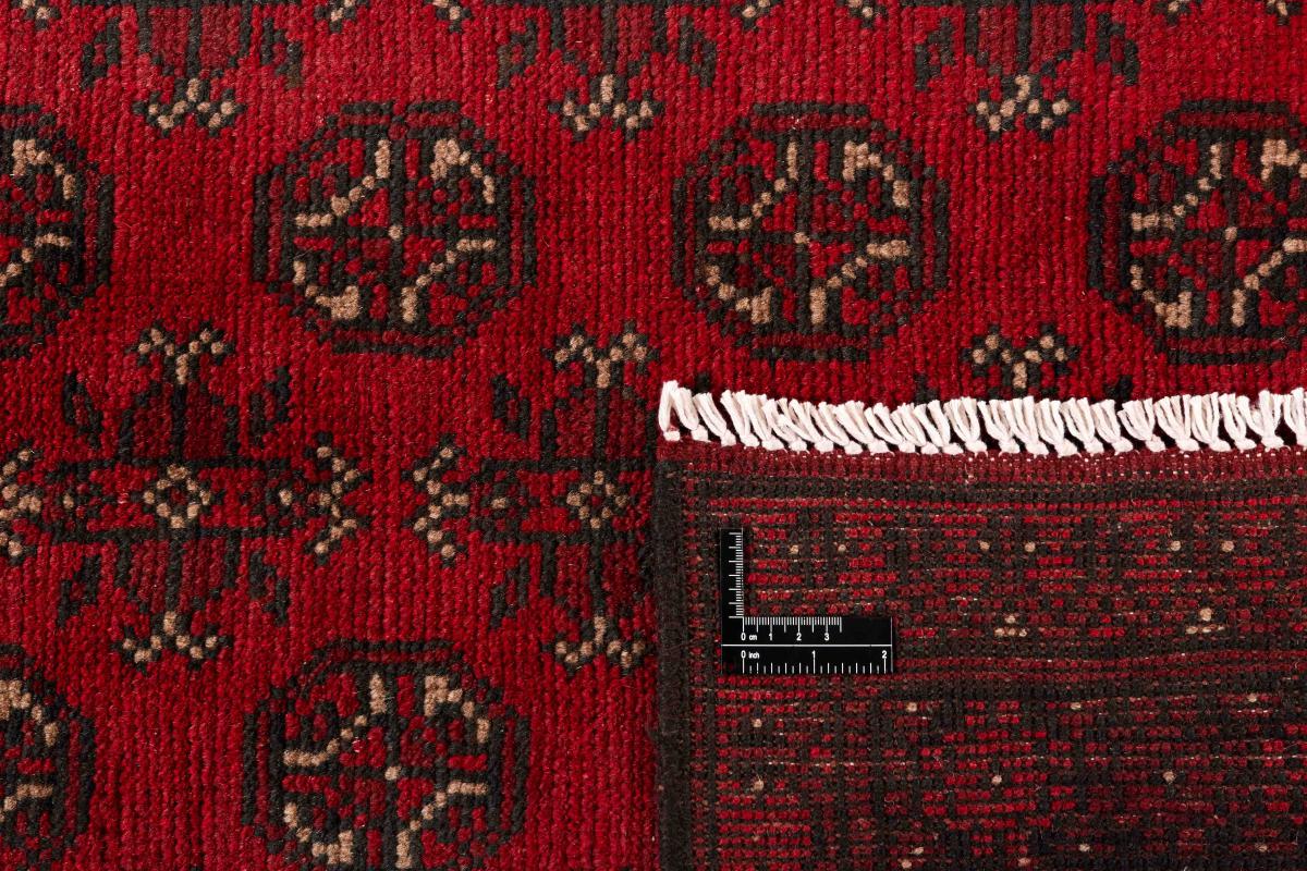 Afegão Akhche - 1