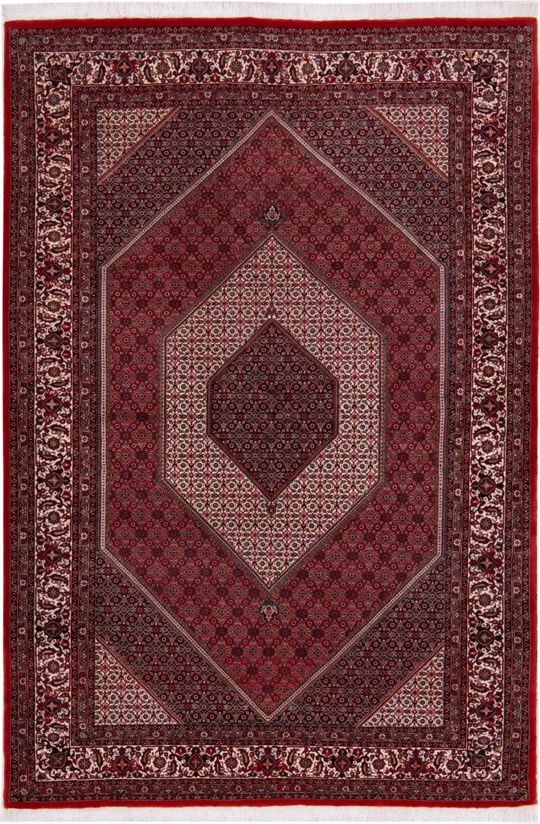 Tappeto persiano Bidjar 254x169 254x169, Tappeto persiano Annodato a mano