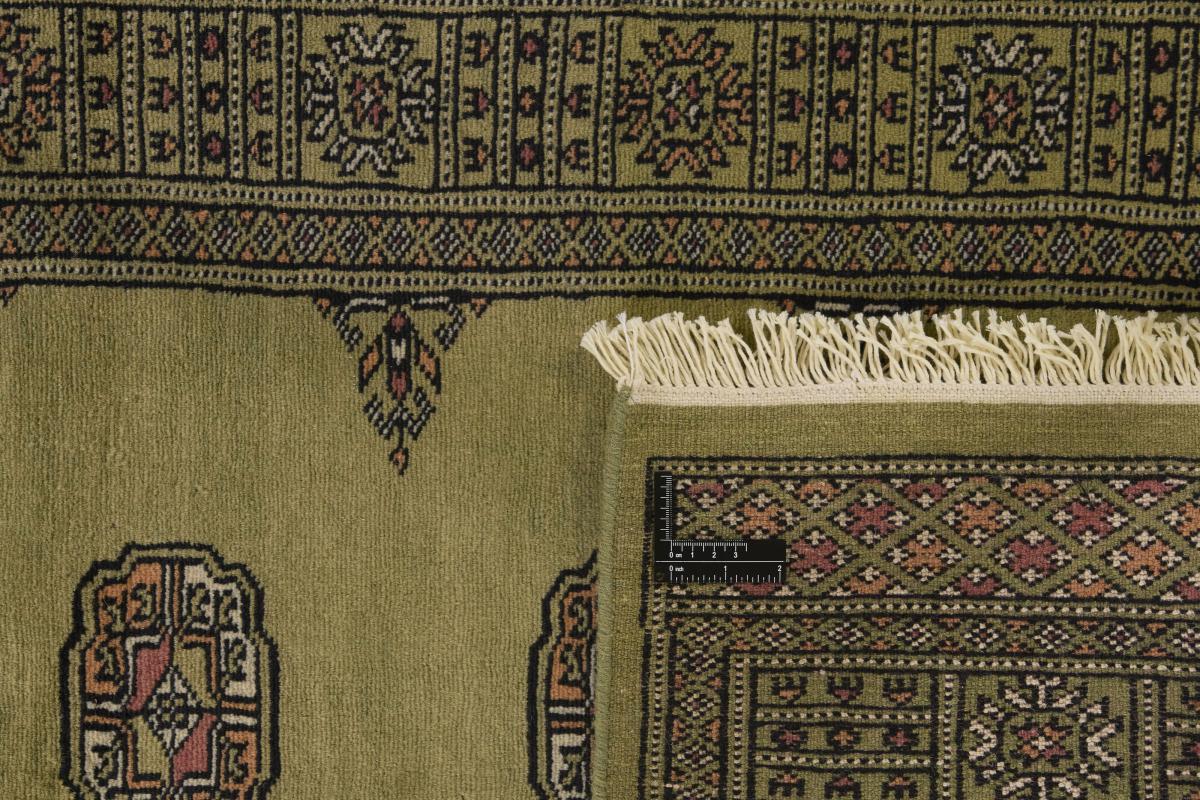 Pakistan Buchara 2ply - 1