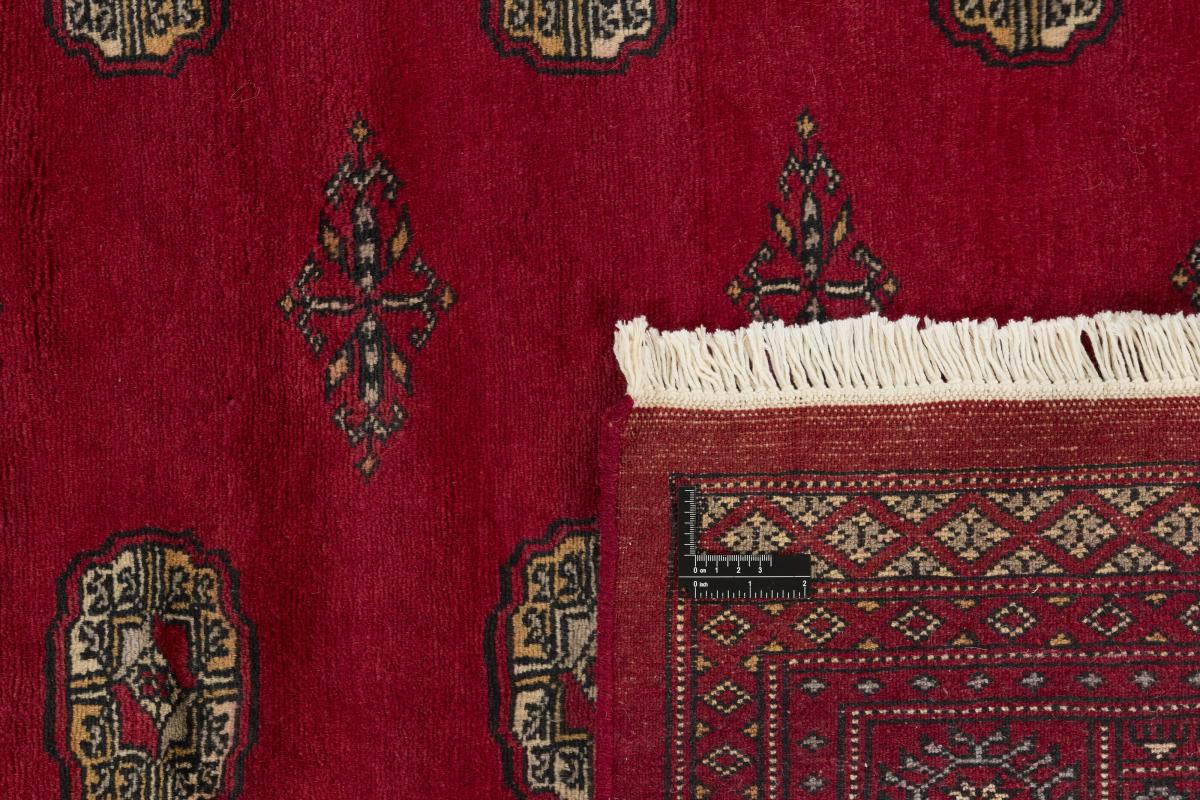 Pakistan Buchara 3ply - 1