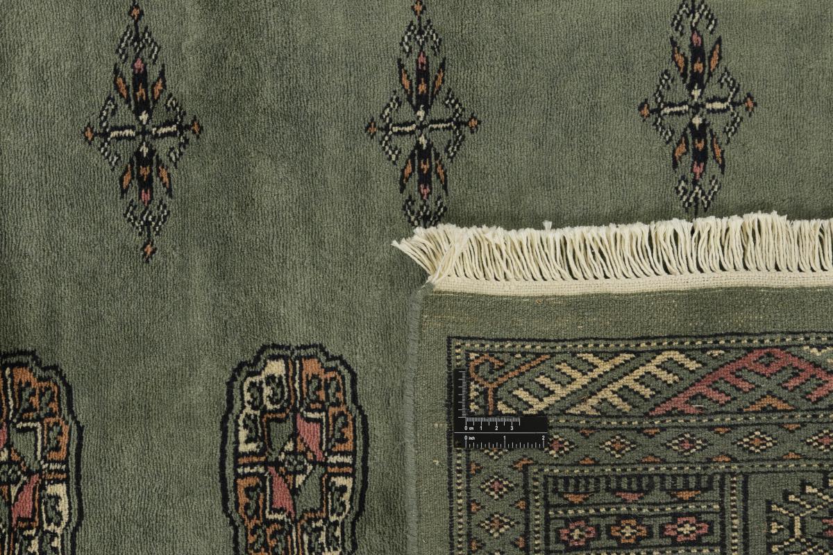 Pakistan Buchara 3ply - 1