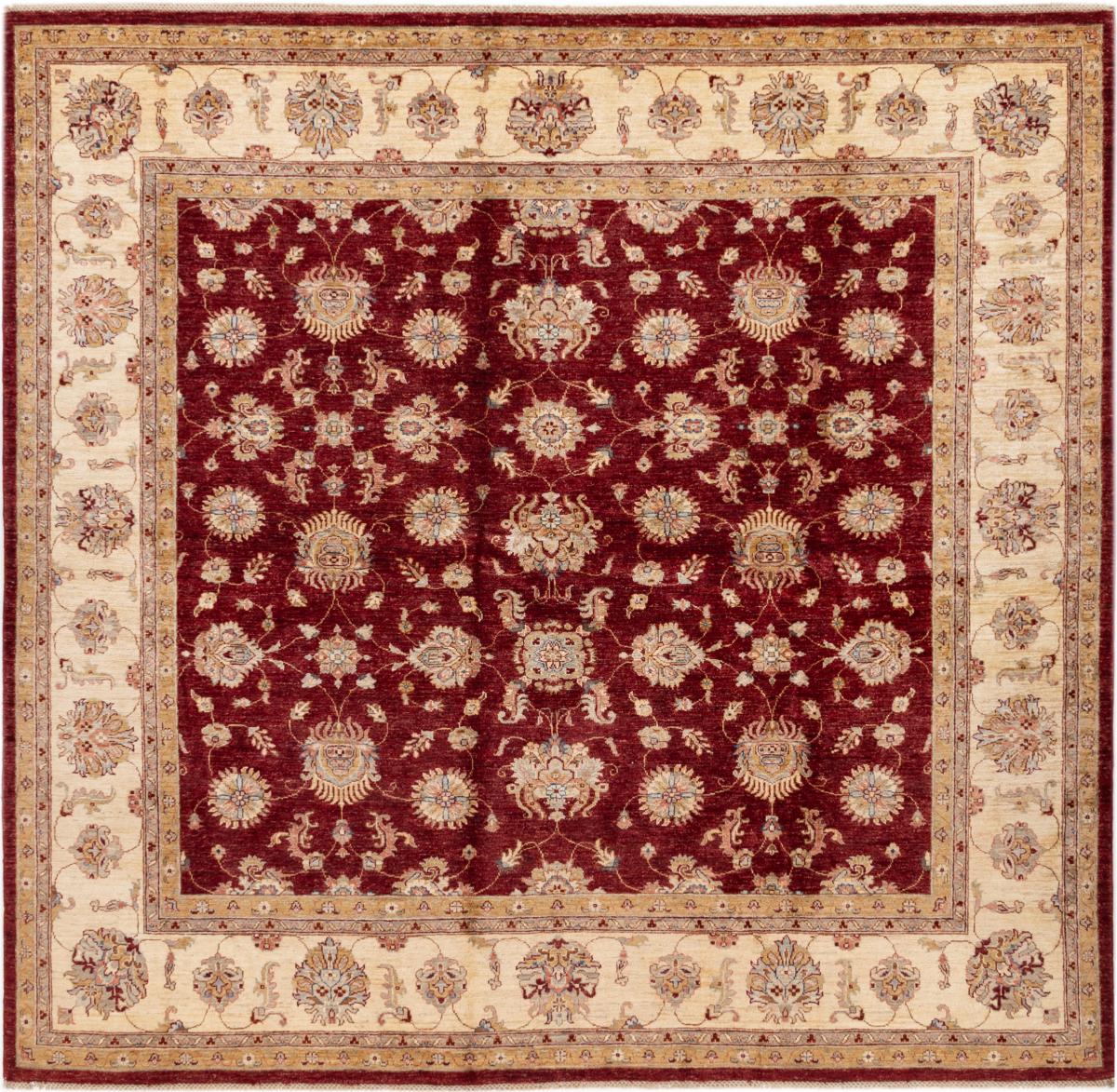 Pakistansk teppe Ziegler Farahan 249x239 249x239, Persisk teppe Knyttet for hånd