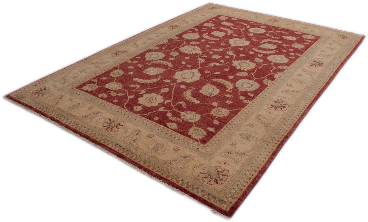Ziegler Farahan - 1