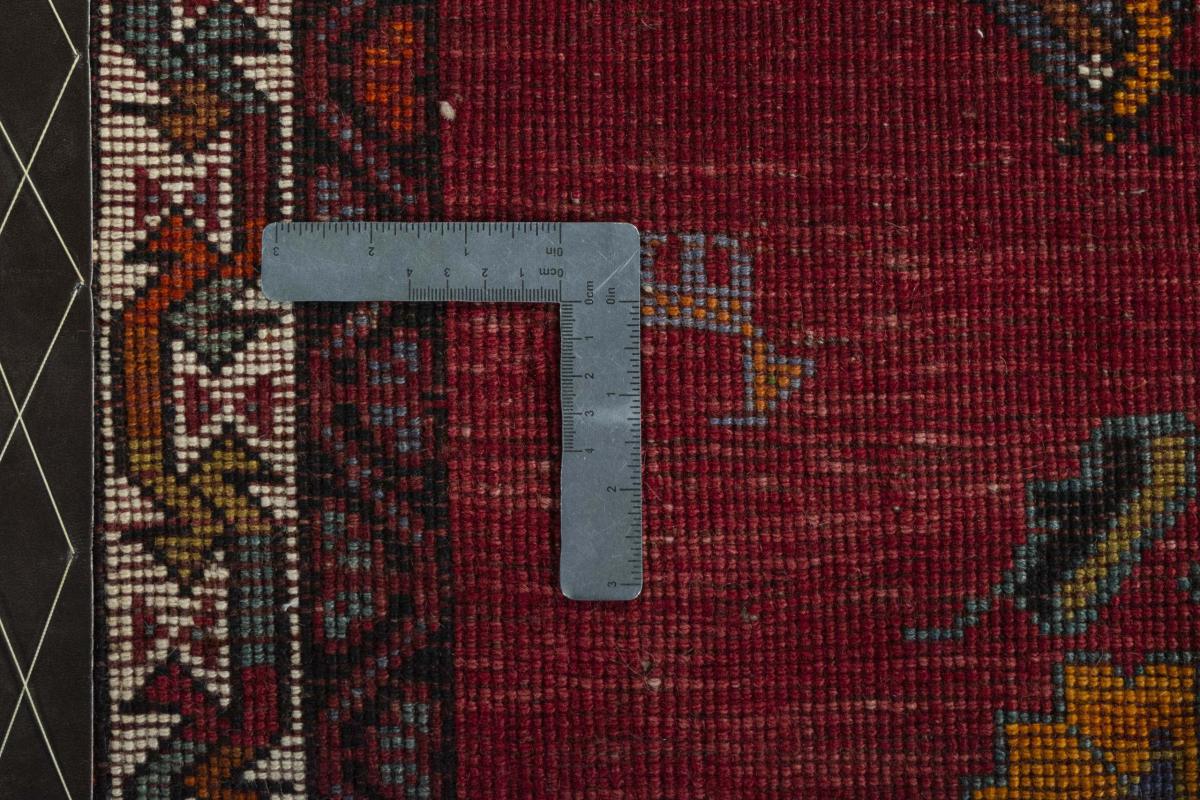 Shiraz - 1