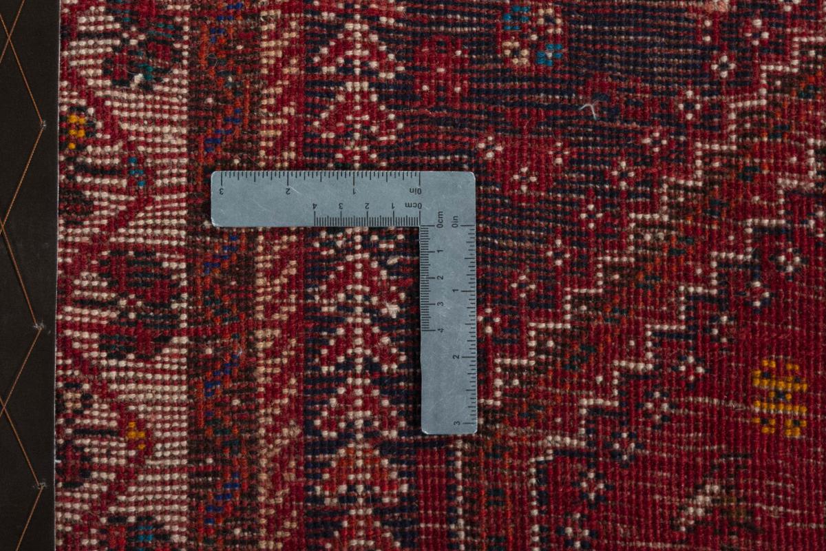 Shiraz - 1