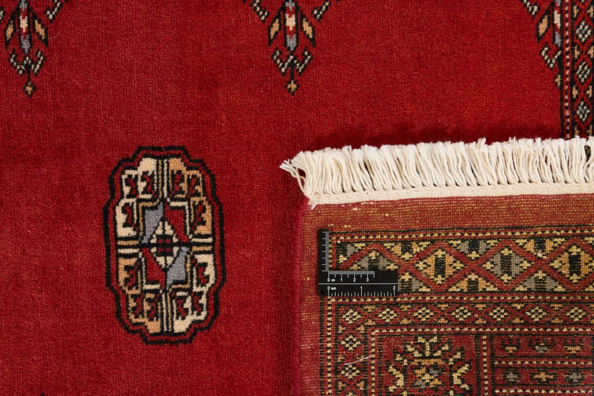 Pakistan Buchara 2ply - 1