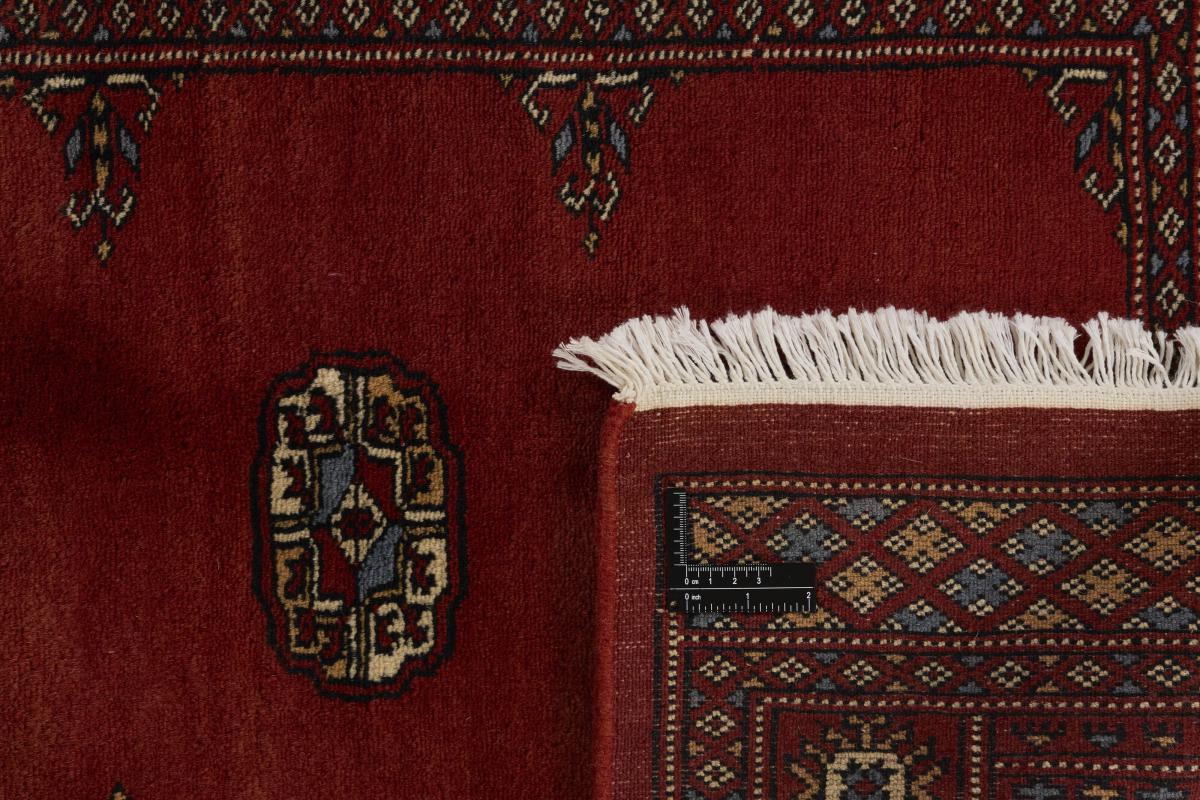 Pakistan Buchara 3ply - 1