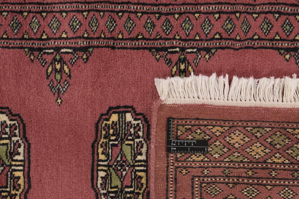 Pakistan Buchara 2ply - 1