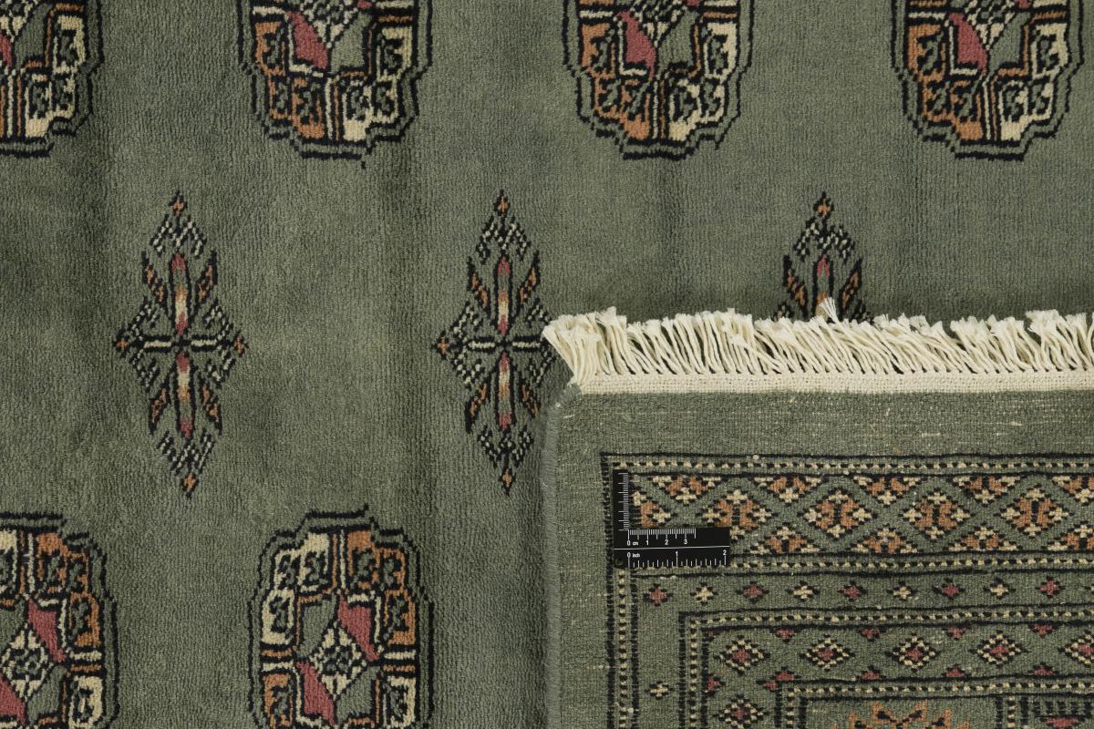 Pakistan Buchara 3ply - 1