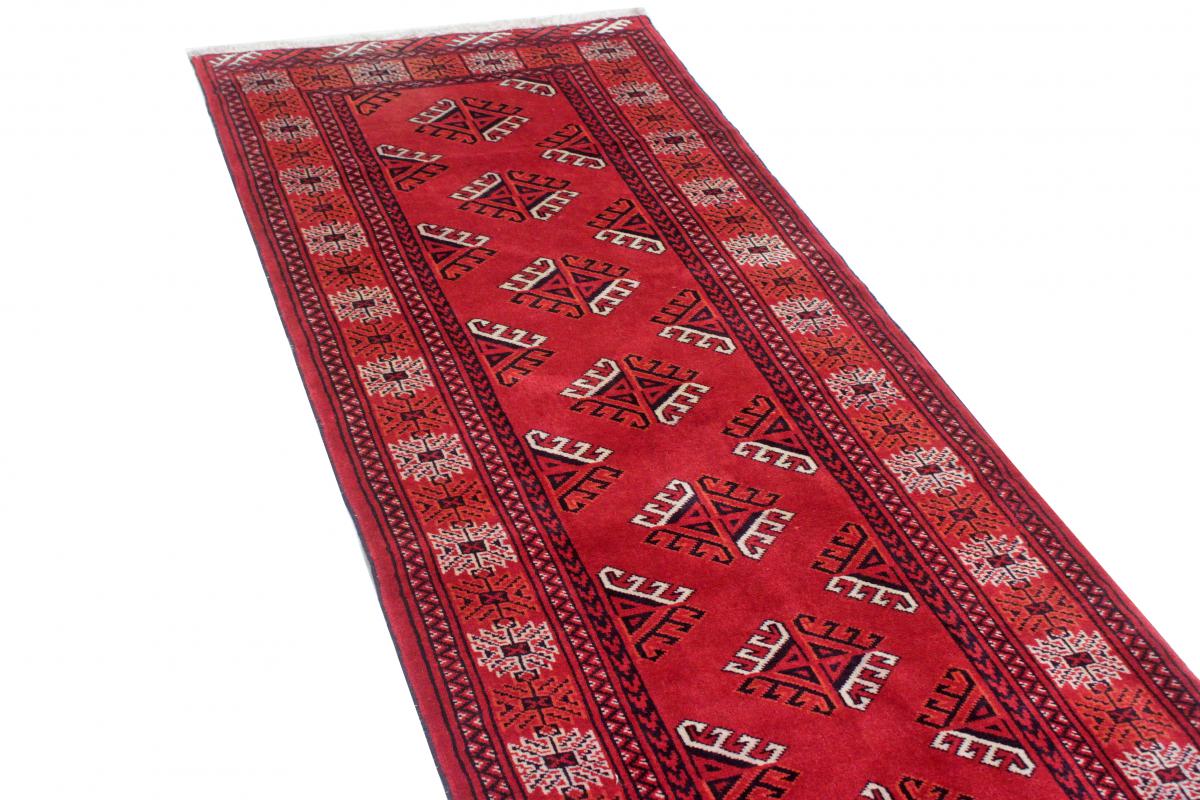 Turkaman - 1