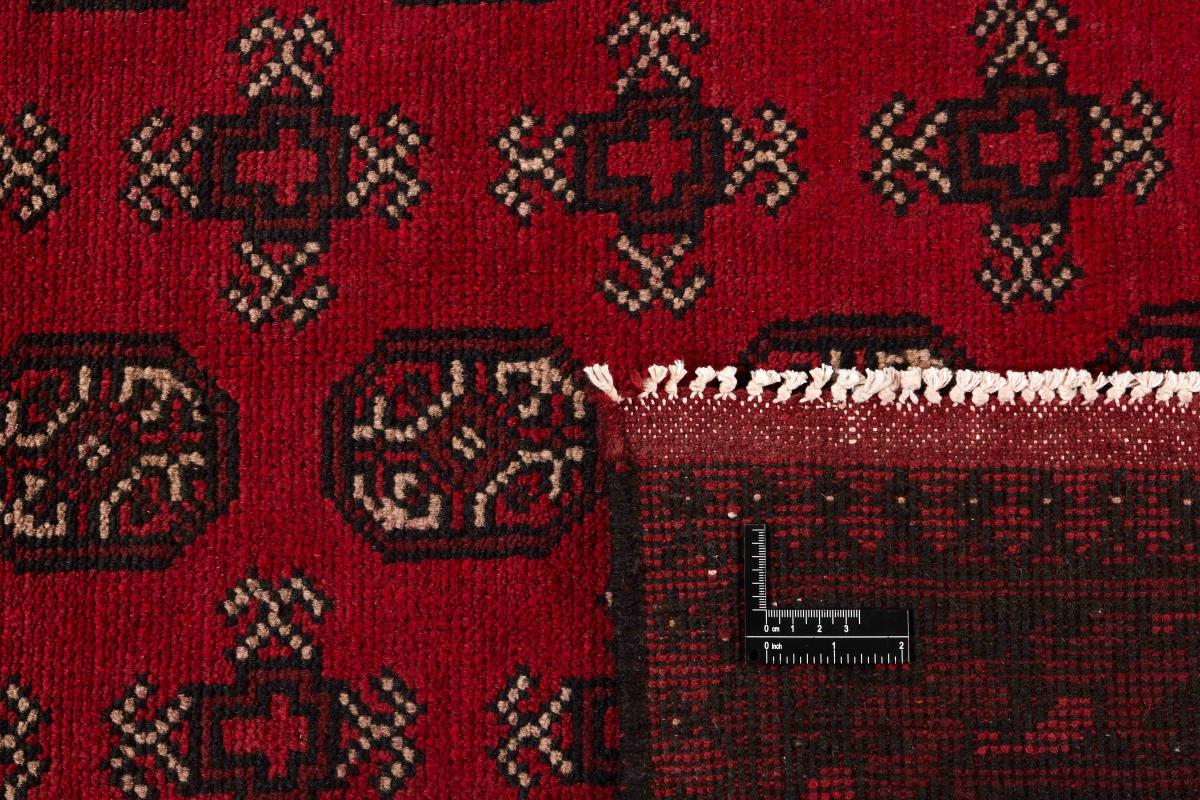 Afegão Akhche - 1
