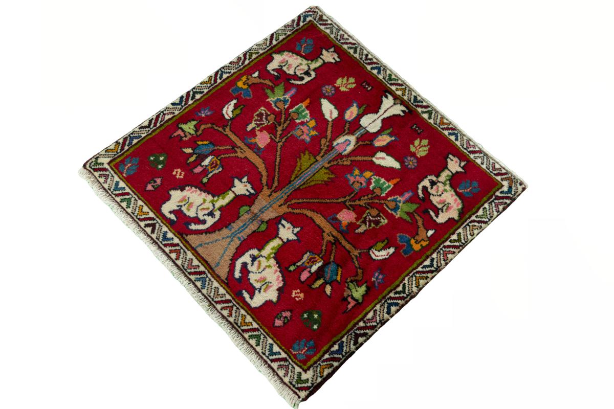 Shiraz - 1