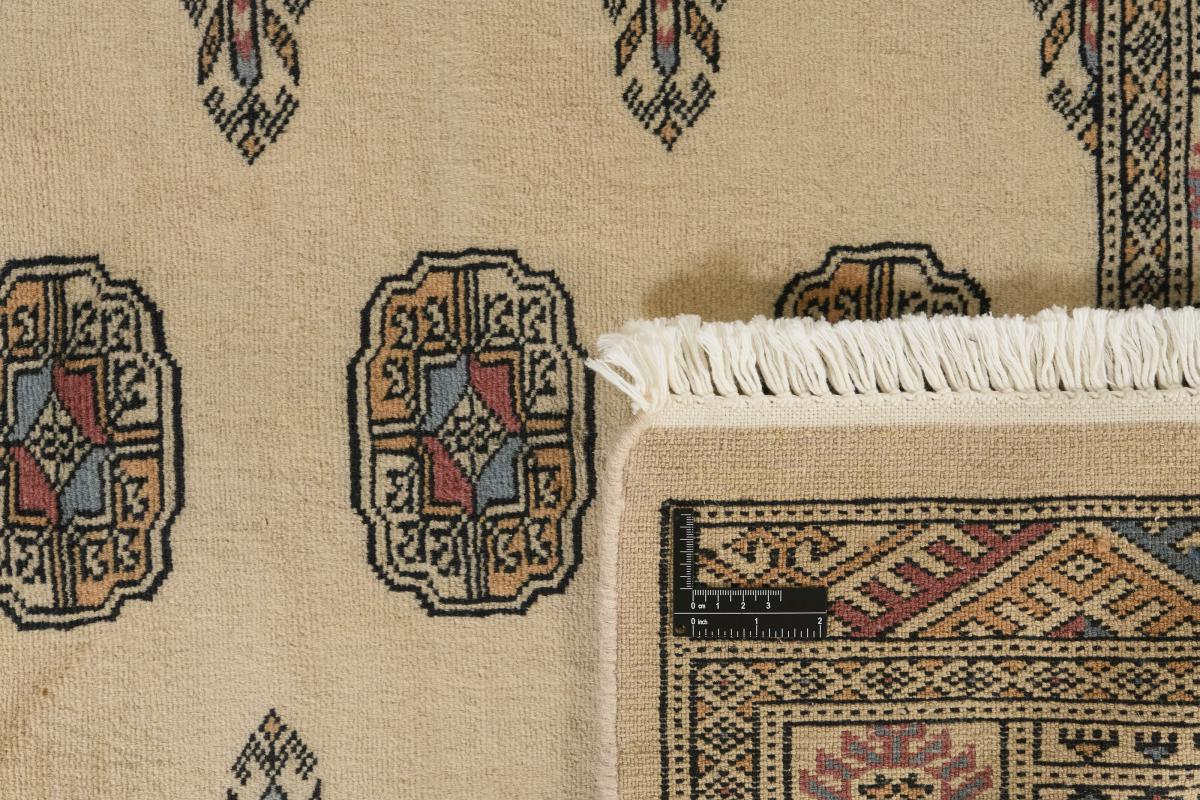 Pakistan Buchara 3ply - 1