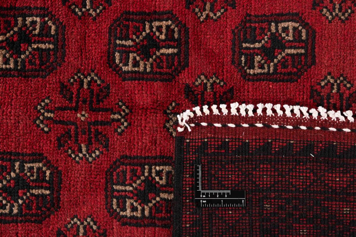 Afegão Akhche - 1