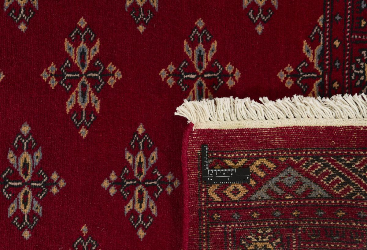 Pakistan Buchara 2ply - 1