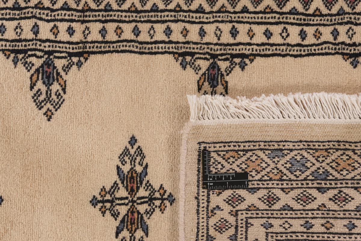 Pakistan Buchara 2ply - 1