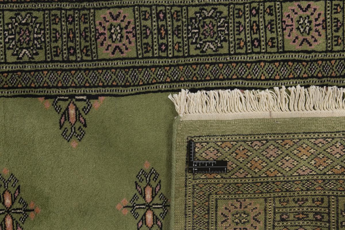 Pakistan Buchara 2ply - 1