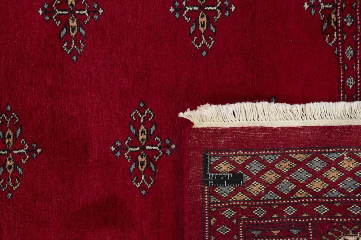 Pakistan Buchara 3ply - 1