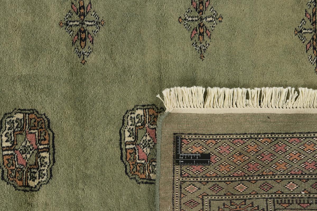 Pakistan Buchara 3ply - 1