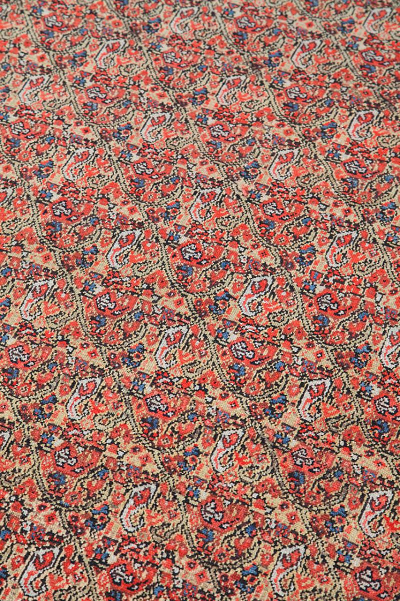 Malayer アンティーク - 1