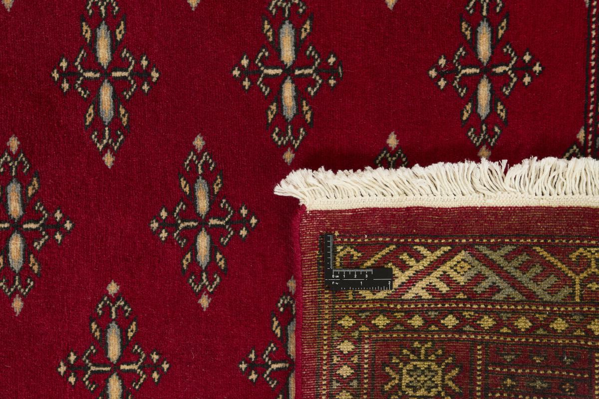 Pakistan Buchara 2ply - 1