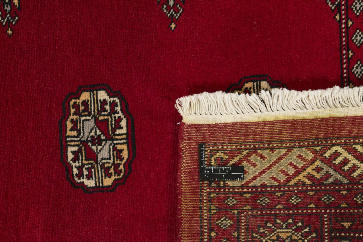 Pakistan Buchara 2ply - 1