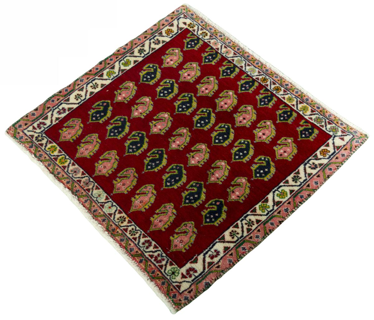 Shiraz - 1