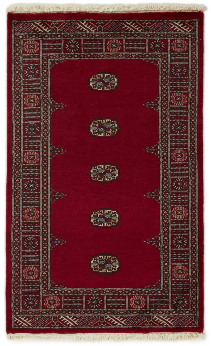 Tappeto pakistano Pakistan Buchara 2ply 5'0"x3'1" 5'0"x3'1", Tappeto persiano Annodato a mano