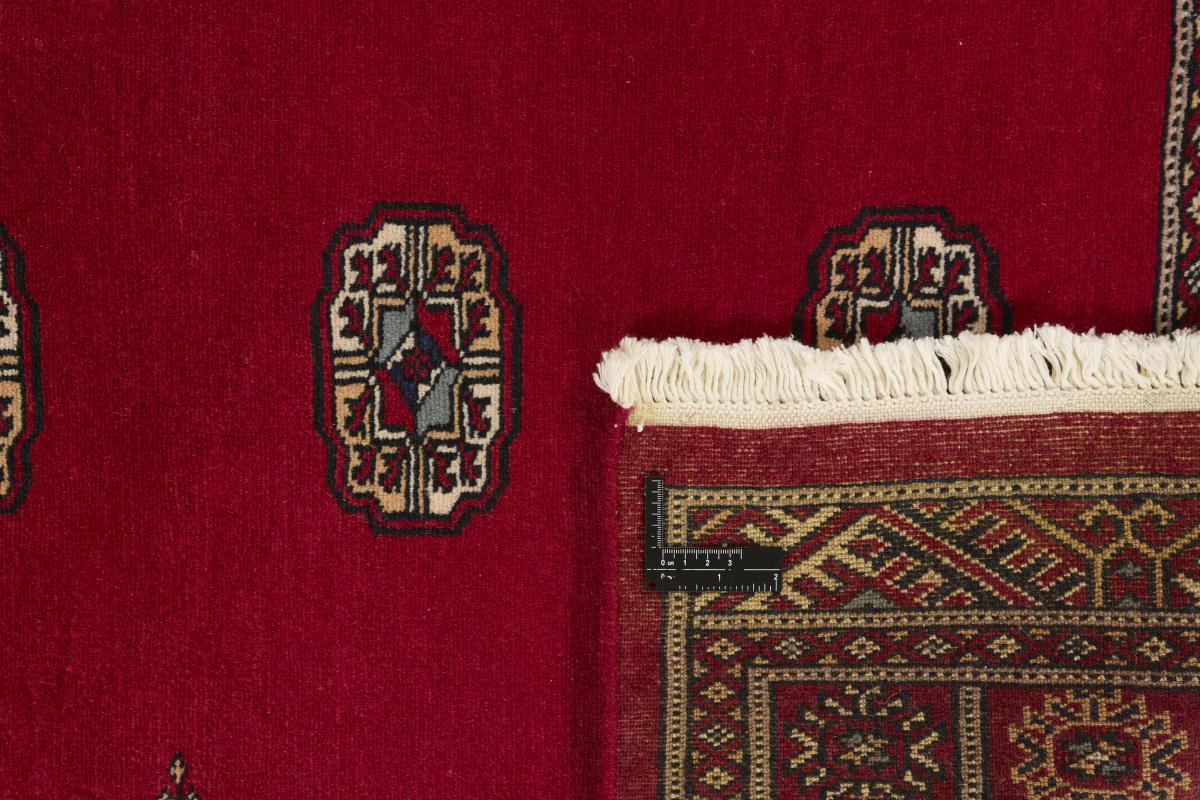 Pakistan Buchara 2ply - 1
